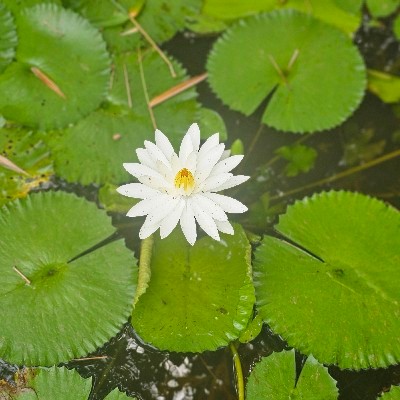 എന്റെ ലോകം "❤️ Dreams ❤️"