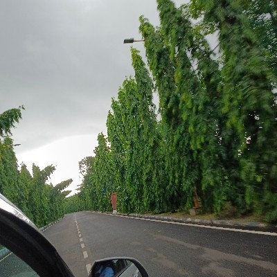 তিয়াসা