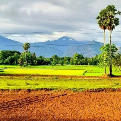 നിവേദ്യ നവനീതം "നന്ദ"