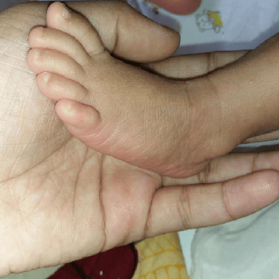 ഡെൽഫി സി വി "സീത"