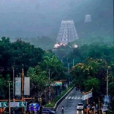 ವರೇಣ್ಯಾ "ಧಮನಿ"