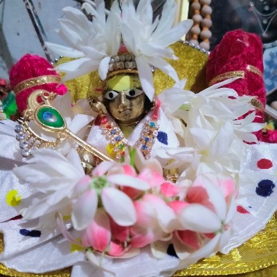Darshana Hitesh Jariwala "મીતિ"