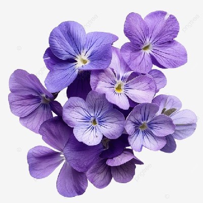धनंजय साटम