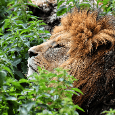 அனு அனுதர்ஷனி "சிவானி"