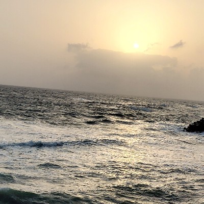 દિપલ "the light"