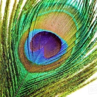 தூரிகா சரவணன் "தூரிகா சரவணன்"