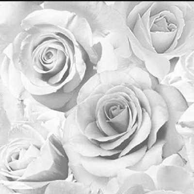 ಸತೀಶ್ ಯಳಮೇಲಿ "ಅಲೇಖ್"