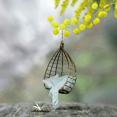 மௌவல் "மௌவல்"
