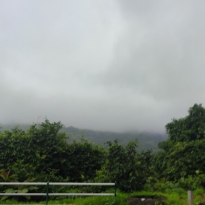 Meghana Sahasrabudhe