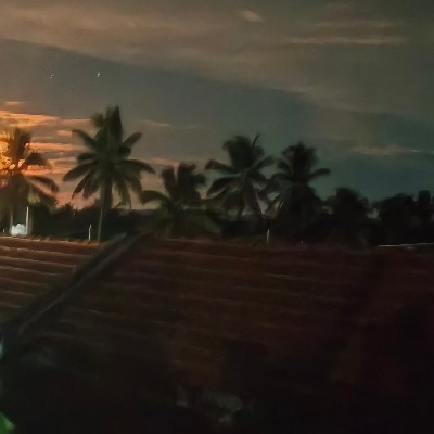 ಶ್ರೀ ವಿದ್ಯಾ