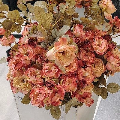 Sahithi "సాచి 🧿"