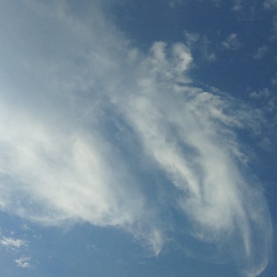 അല്ലിയാമ്പൽ "🌼 അല്ലി 🌼"