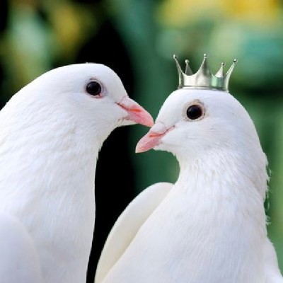 हरियाणा की छोरी - कंचन महक सुथार