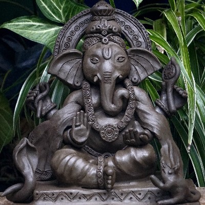 ಶ್ವೇತಾ ಪಿ ಎಚ್