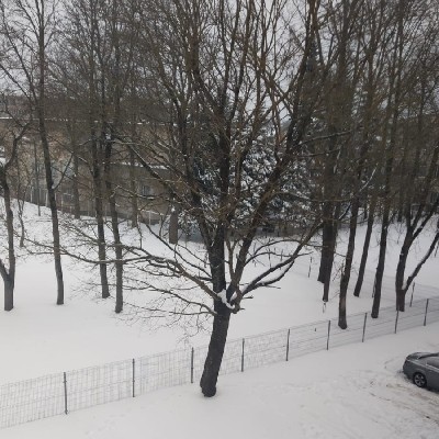 ശരത് അച്ചു "ഒരേ തൂവൽ പക്ഷികൾ"