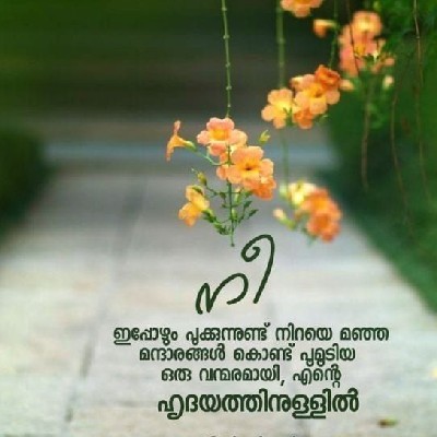 ശരത് അച്ചു "ഒരേ തൂവൽ പക്ഷികൾ"