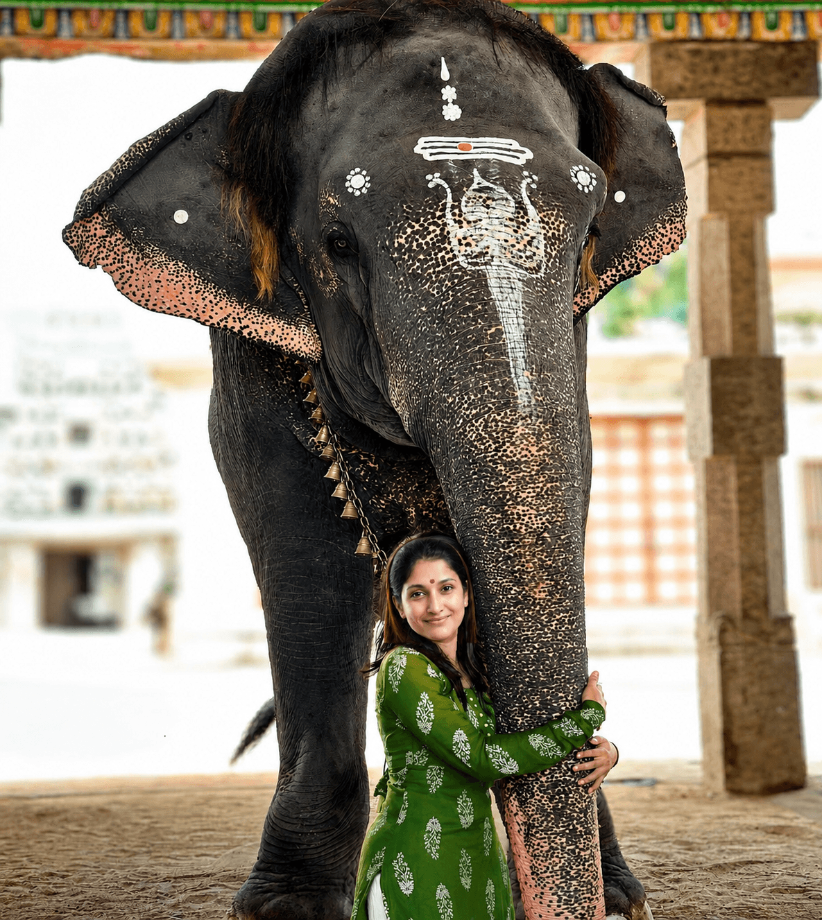 சித்ரவதனா