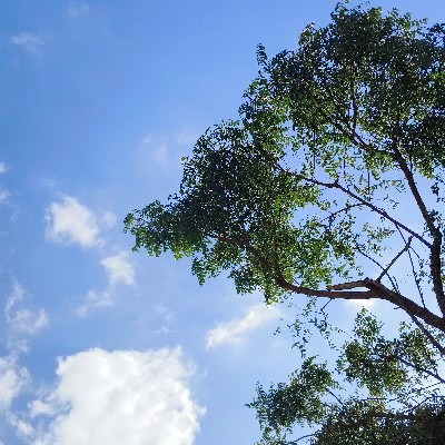 లక్ష్మణ్