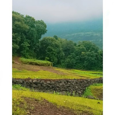 सारिका Sara "Sara"