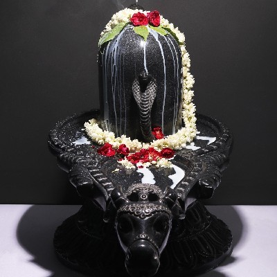 Vivek Gupta