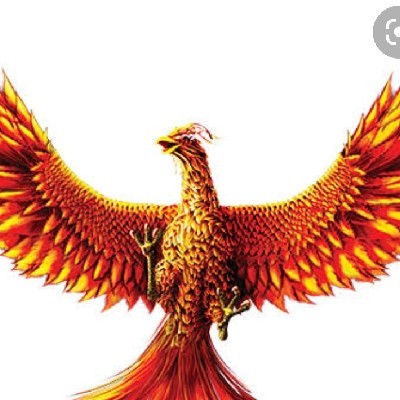 🥀ഫീനിക്സ് പക്ഷി🥀 "വേനൽ മഴ..☔️"