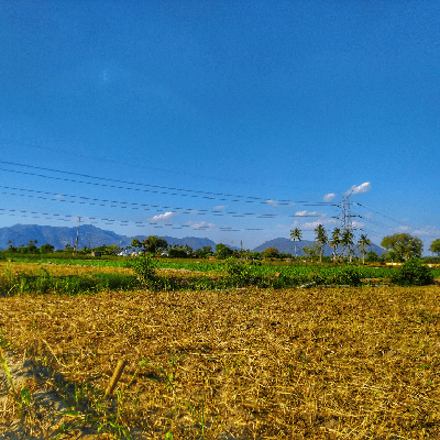 ஆர்த்தி ரவிச்சந்திரன்