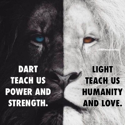 निशा भूषण "🌙🌟"