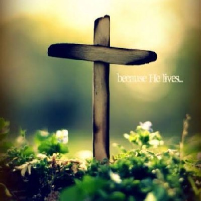 vanthadupula meghana