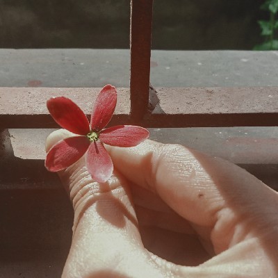 প্রিয়দর্শিনী "স্মৃতি"