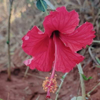 వాణిచంద్రకాంత్ © 𝓨𝓥𝓒𝓡 © "𝐕𝐀𝐍𝐈"