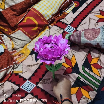 Roop Narayan "रूप"