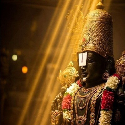 सौ. अमृता येणारे - जाधव