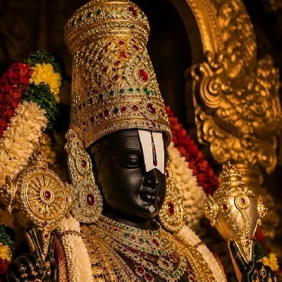 सौ. अमृता येणारे - जाधव