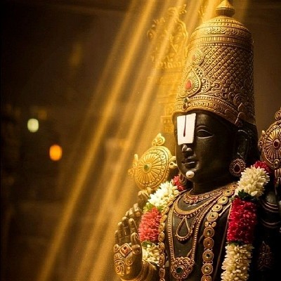 सौ. अमृता येणारे - जाधव