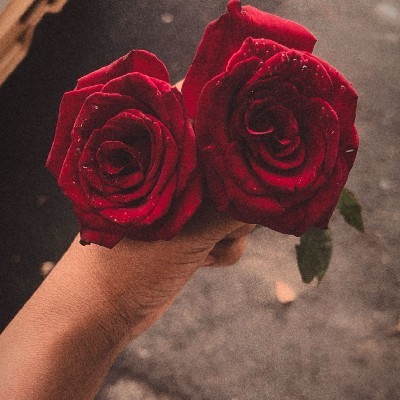 ಅಂತರಾತ್ಮ ❤️
