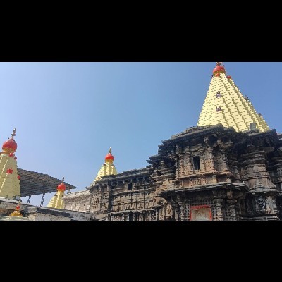 फुलपाखरू "मानसी ❤️"