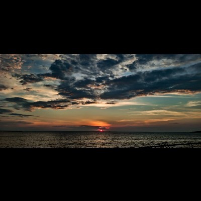 फुलपाखरू "मानसी.....❤️"