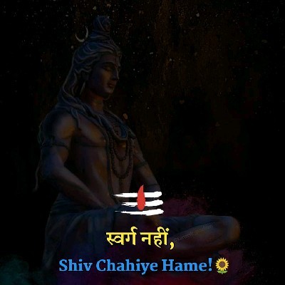 वैशाली बनकर ""वैशु""