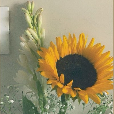 Nakshatra Jhansi🐰 "Silent snow"