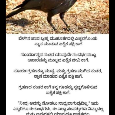 💙💜 Pravasi ಯಲಗೂರು♥️💙