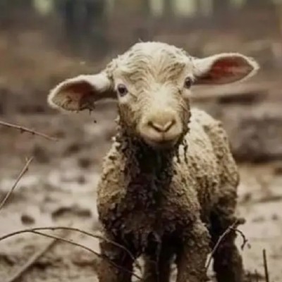 சுமதி "நெருப்பின் நுனி🔥"