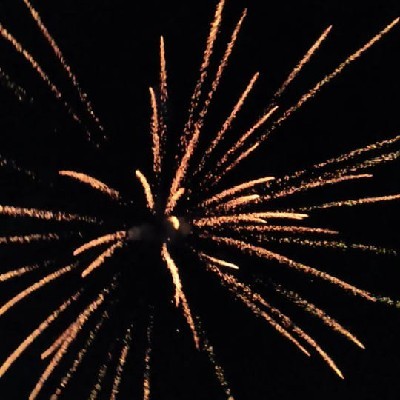 Rachna Rathore "Archu"