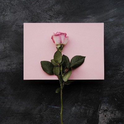 आशीष मिश्रा "मैथिली"