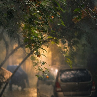Jisha