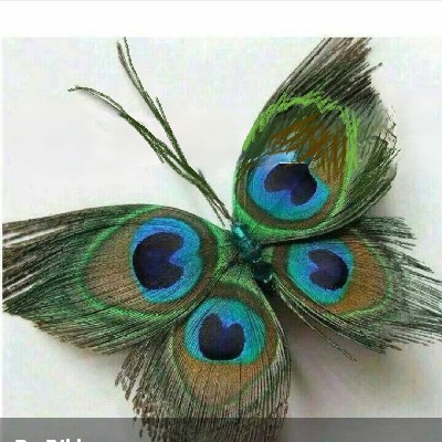 *मृगतृष्णा* तरंग "૧/૪ 📏"