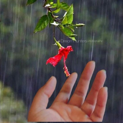 അശ്വതി🌺 "യാമി 🌿"