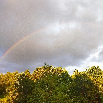 శాంతి కృష్ణ