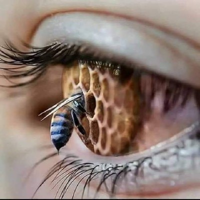 రిషీ కుమార్ అత్తొట "మరో నేత్రం 👁️"