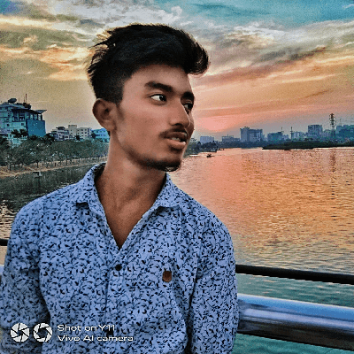 Shuvro's Diary "সাব্বির ( ক্ষুদ্র লেখক)"