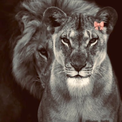 Pλ₦ÐλGłƦŁ🐼🤍🍁  ज्योती कांबळे 🪬💕